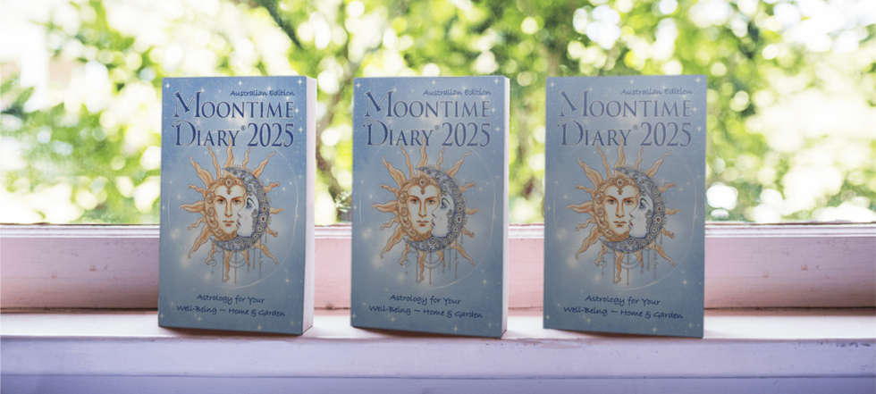 Moontime Diary 2025